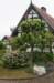 heuvelland_104_small.jpg