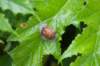 heuvelland_113_small.jpg