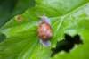 heuvelland_114_small.jpg