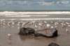 hoekvholland_008_small.jpg