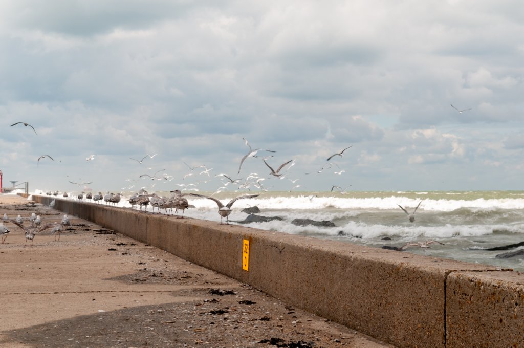 hoekvholland_012.jpg
