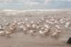 hoekvholland_018_small.jpg