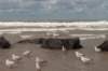 hoekvholland_019_small.jpg