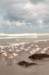 hoekvholland_020_small.jpg