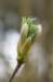 hollrading_002_small.jpg
