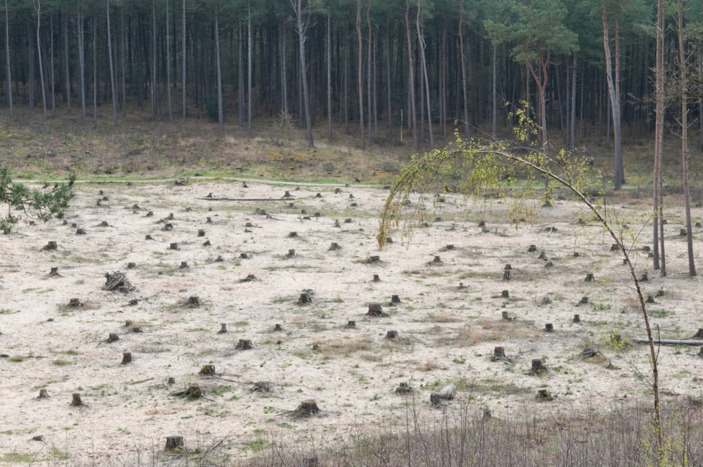 hollrading_003.jpg