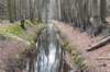 hollrading_010_small.jpg