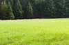 hollrading_017_small.jpg