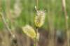 hollrading_021_small.jpg