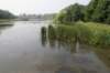 biesbosch_003_small.jpg