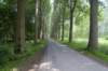 biesbosch_005_small.jpg