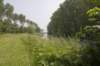 biesbosch_006_small.jpg