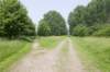 biesbosch_009_small.jpg