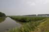 biesbosch_010_small.jpg