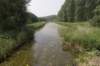 biesbosch_011_small.jpg