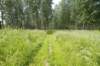 biesbosch_014_small.jpg