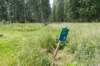 biesbosch_015_small.jpg