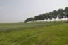 biesbosch_017_small.jpg