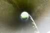 biesbosch_019_small.jpg