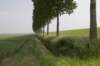 biesbosch_020_small.jpg