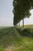 biesbosch_021_small.jpg