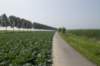 biesbosch_023_small.jpg