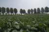 biesbosch_024_small.jpg