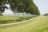 biesbosch_026_small.jpg
