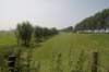 biesbosch_027_small.jpg