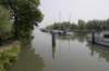 biesbosch_028_small.jpg