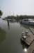biesbosch_029_small.jpg