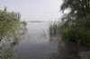 biesbosch_030_small.jpg