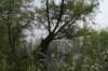 biesbosch_033_small.jpg