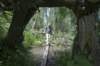 biesbosch_034_small.jpg