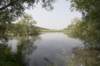 biesbosch_035_small.jpg