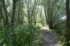 biesbosch_036_small.jpg