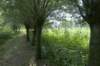 biesbosch_040_small.jpg