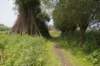 biesbosch_045_small.jpg