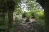 biesbosch_046_small.jpg