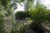 biesbosch_047_small.jpg