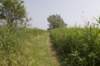 biesbosch_050_small.jpg