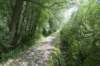 biesbosch_052_small.jpg