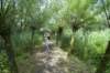 biesbosch_053_small.jpg