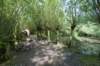 biesbosch_054_small.jpg
