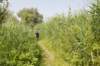 biesbosch_055_small.jpg
