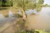 biesbosch_057_small.jpg