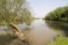 biesbosch_058_small.jpg