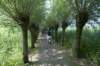 biesbosch_060_small.jpg