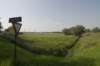biesbosch_065_small.jpg