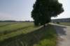 biesbosch_068_small.jpg